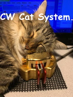 Cat system